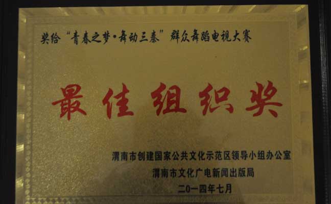 最佳组织奖