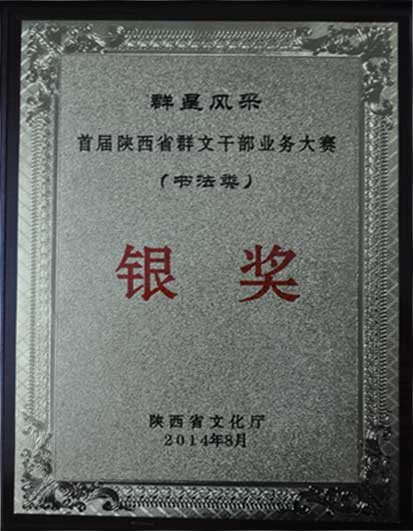 2014年史建军同志荣获群星风采•首届群文干部业务技能大赛书法类银奖