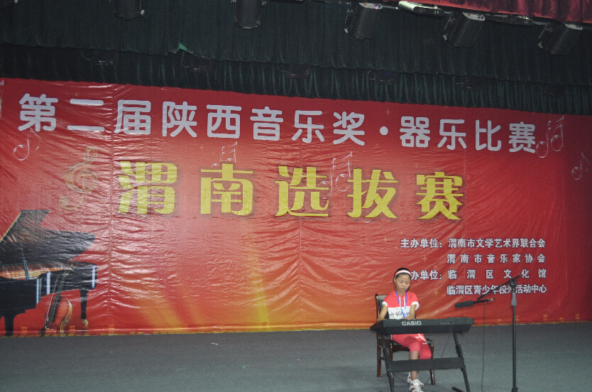 2010第二届器乐大赛图片