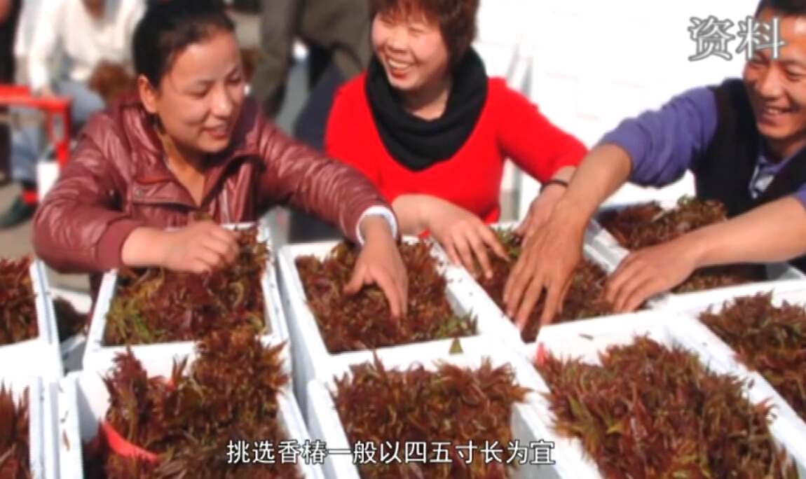 渭南豆腐泡